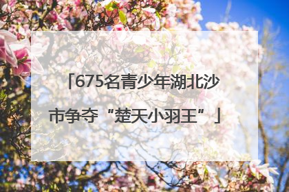 675名青少年湖北沙市争夺“楚天小羽王”