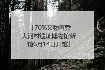 70%文物首秀 大河村遗址博物馆新馆6月14日开馆