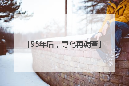 95年后，寻乌再调查