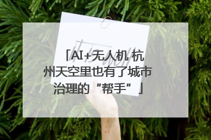 AI+无人机 杭州天空里也有了城市治理的“帮手”