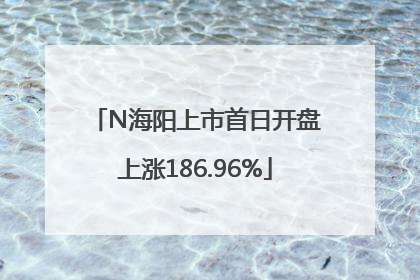 N海阳上市首日开盘上涨186.96%
