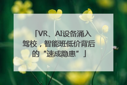 VR、AI设备涌入驾校，智能班低价背后的“速成隐患”